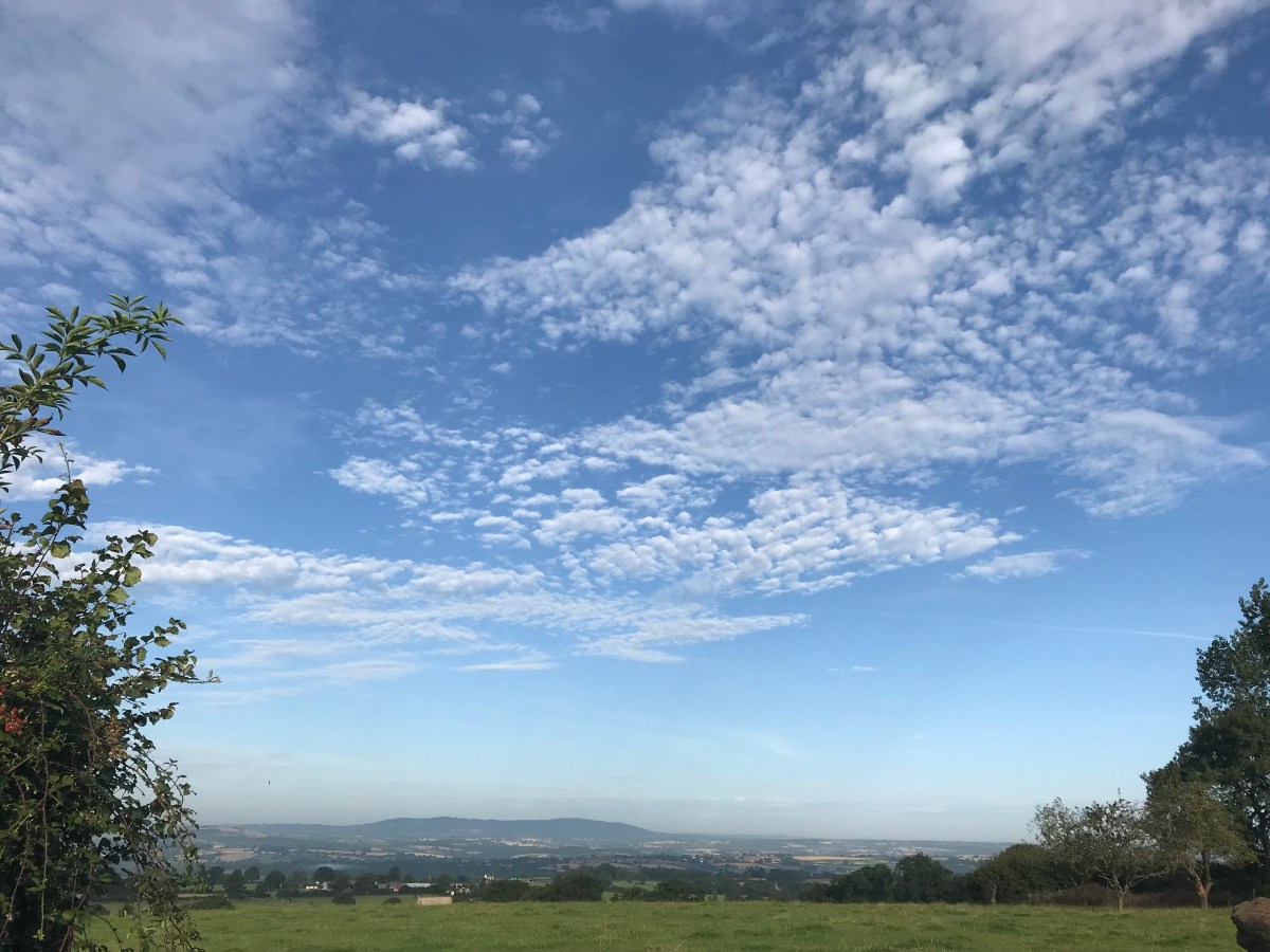 ‘Holding the moment steady’ – a Poetry Short-Course with Jonathan Davidson (January&nbsp;2023)