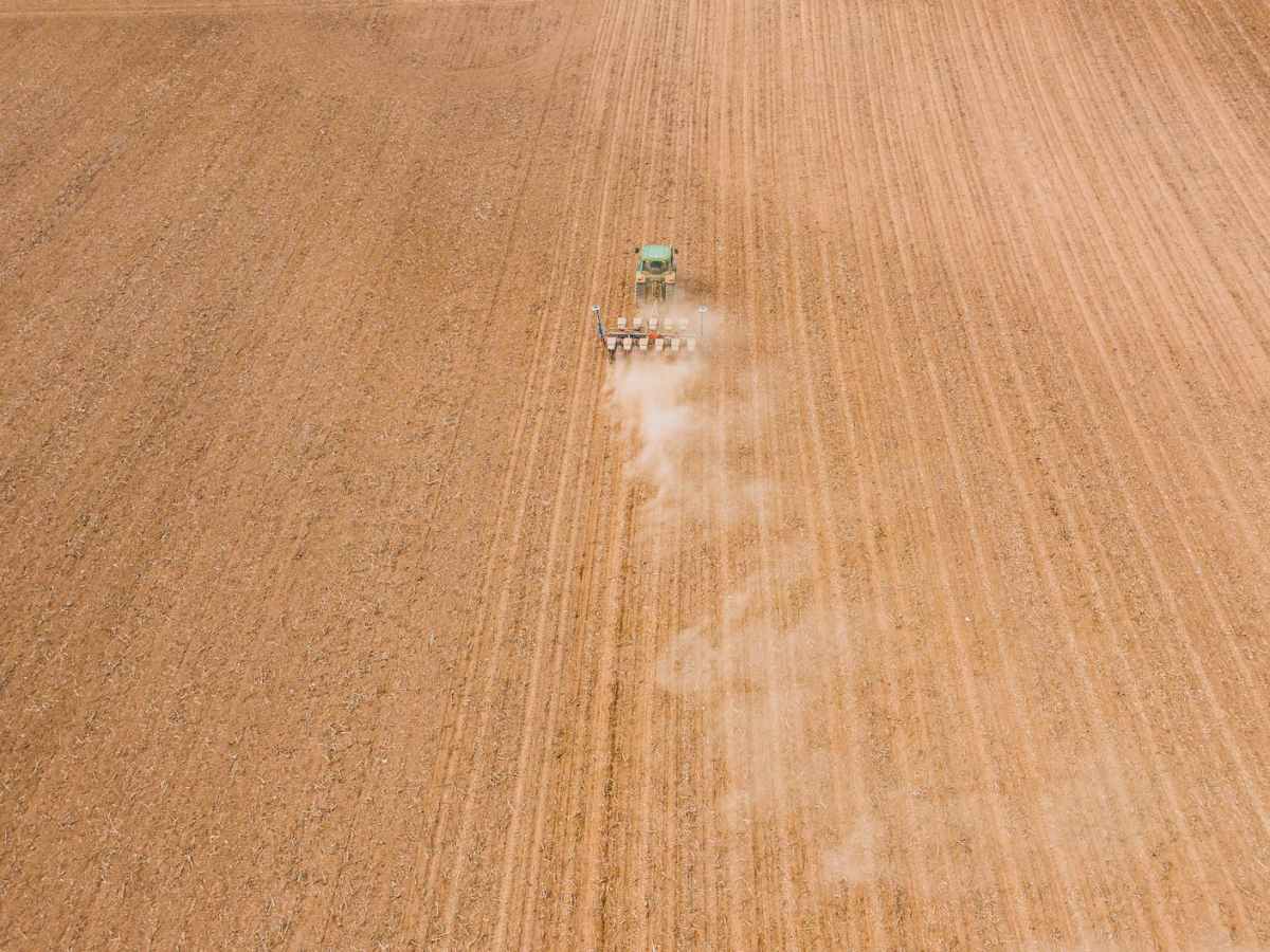 The Ploughed Field – New Nature&nbsp;Poetry